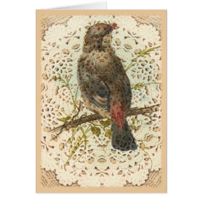 Vintagefågel och Doilie Hälsningskort (Framsidan)
