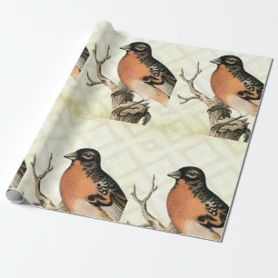Vintagefågel Presentpapper