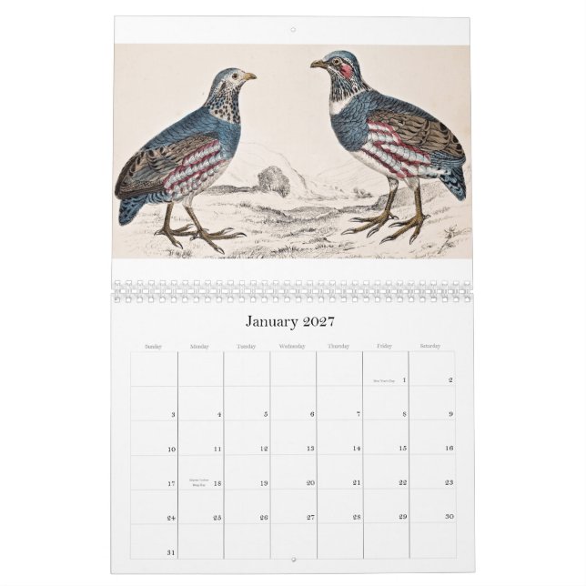 Vintagefågelkalender - 2013 kalender (Jan 2027)