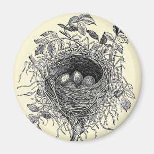 Vintagefågeln bygga bo illustrationen magnet