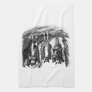 Vintagefladdermöss1800s som flyger rävfladdermö kökshandduk