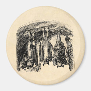 Vintagefladdermöss1800s som flyger rävfladdermö magnet