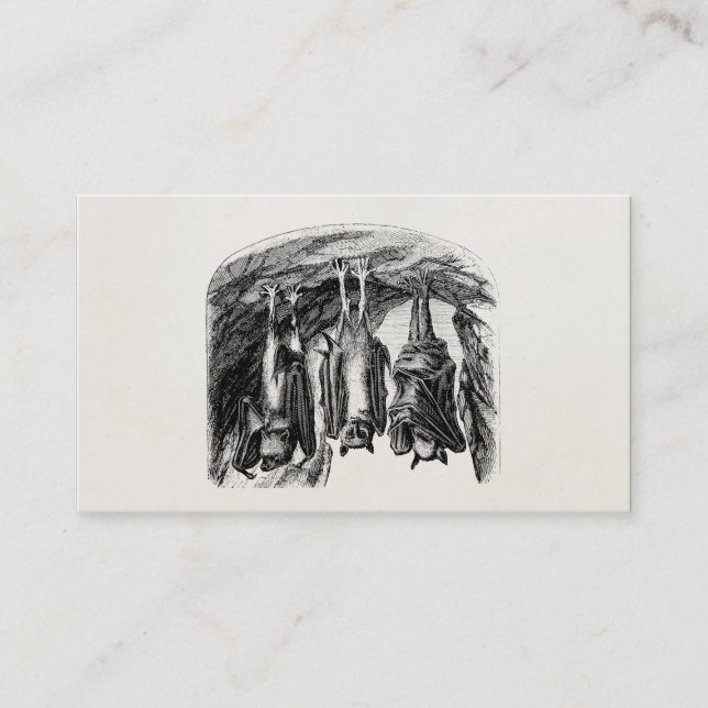 Vintagefladdermöss1800s som flyger rävfladdermöss visitkort (Framsida)