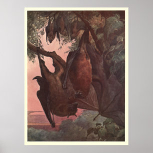 Vintagefladdermöss Målning (1909) Poster