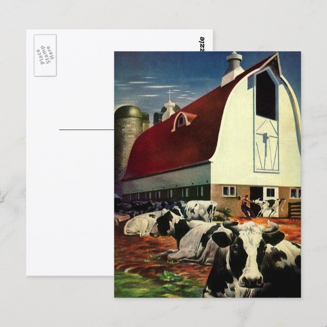 Vintageföretag, Holsteinmjölkkor på mjölkgård Vykort (Fram/baksida)