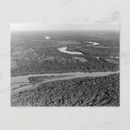 Vintagefoto av Amazonas regnskog Vykort