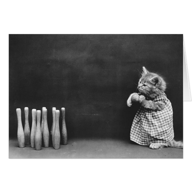 Vintagefoto - bowlingKitten. Hälsningskort (Framsidan Horizontal)