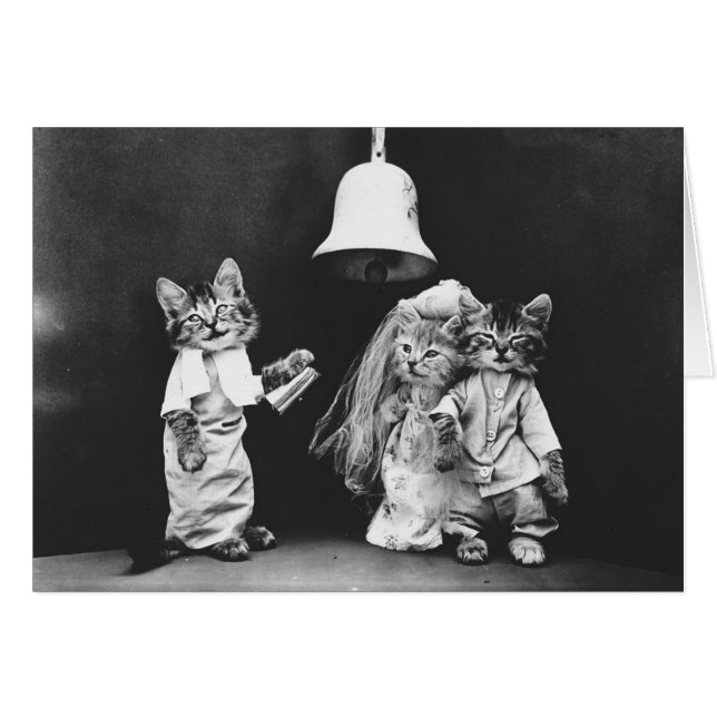 Vintagefoto - ett kattungebröllop, hälsningskort (Framsidan Horizontal)