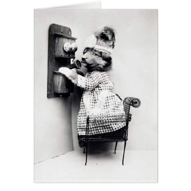 Vintagefoto - hund på telefonen, hälsningskort (Framsidan)
