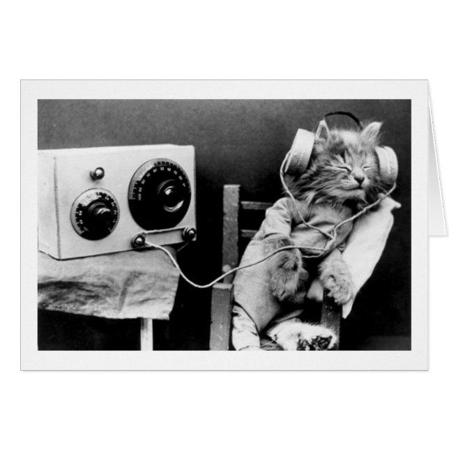 Vintagefoto - katten som lyssnar till, radiosände, hälsningskort (Framsidan Horizontal)