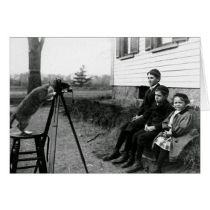 Vintagefoto - leende för katt kamera, hälsningskort