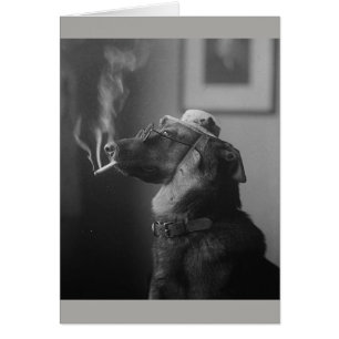 Vintagefoto - röka hunden, hälsningskort