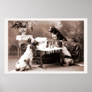 Vintagefotografibakrus med hundar poster
