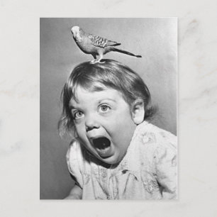 Vintagefotovykort Vykort