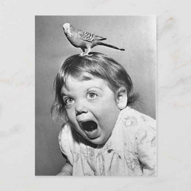 Vintagefotovykort Vykort (Framsida)