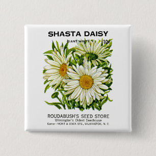 Vintagefröpaket med Shasta-daisy Knapp