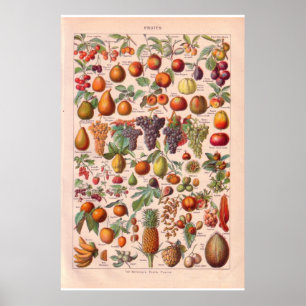 Vintagefruktaffisch 1920 poster