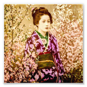 VintageGeisha som poserar i körsbärsröda blomma Fototryck