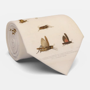 Vintagegräshoppadiagram (1875) slips