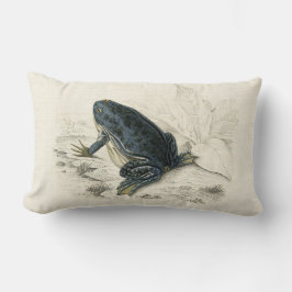 Vintagegroda Lumbarkudde