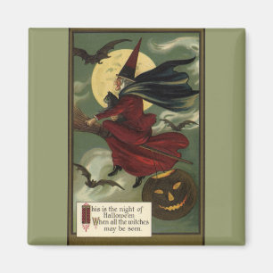 VintageHalloween häxa som rider en kvast med Magnet