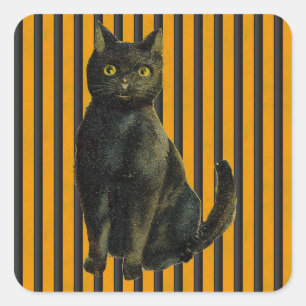 VintageHalloween katt Fyrkantigt Klistermärke