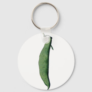 Vintageharicot vert nyckelring