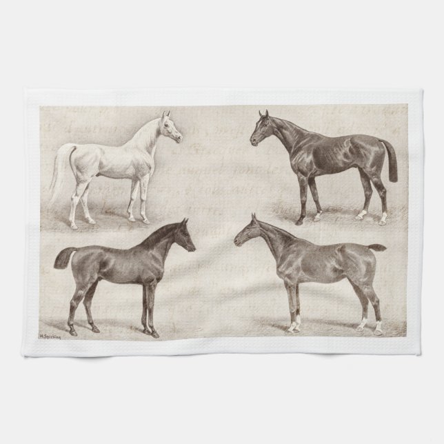 Vintagehästar - häst- och ponnymallhäst kökshandduk (Horisontell)