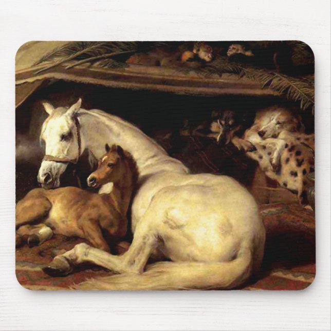 Vintagehästen Musmatta (Framsidan)