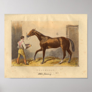 Vintagehästtryck Thormanby 1873 Poster