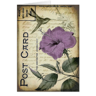 VintagehibiskusHummingbird Hälsningskort