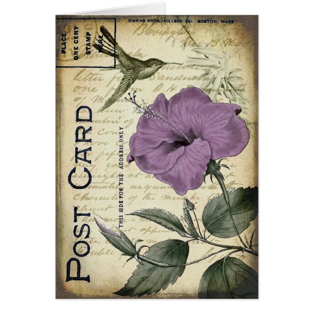 VintagehibiskusHummingbird Hälsningskort (Framsidan)