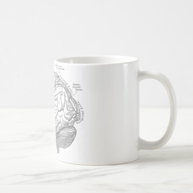 Vintagehjärnanatomi Kaffemugg (Höger)