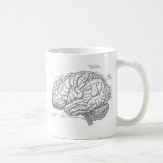 Vintagehjärnanatomi Kaffemugg
