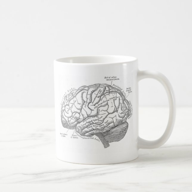 Vintagehjärnanatomi Kaffemugg (Höger)