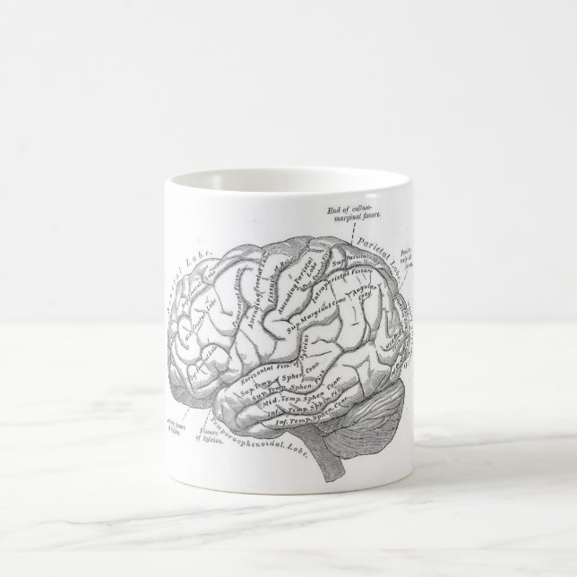 Vintagehjärnanatomi Kaffemugg (Center)