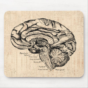 Vintagehjärnkonstverk Mousepad Musmatta