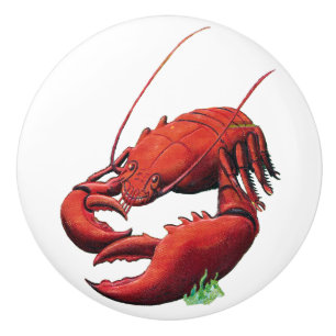 Vintagehummer med Kelp Knopp