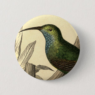 Vintagehummingbirden knäppas knapp