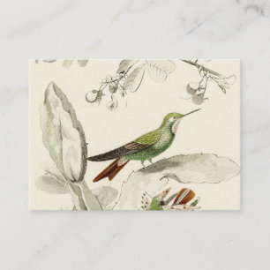 VintageHummingbirdillustration - fåglar 1800's Visitkort