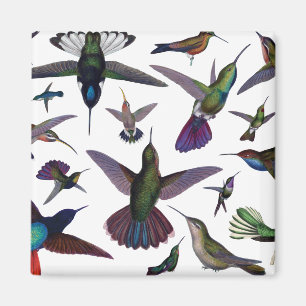 VintageHummingbirds Magnet
