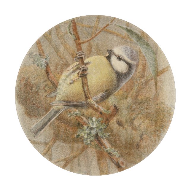 Vintageillustration av blåmes (Framsidan)