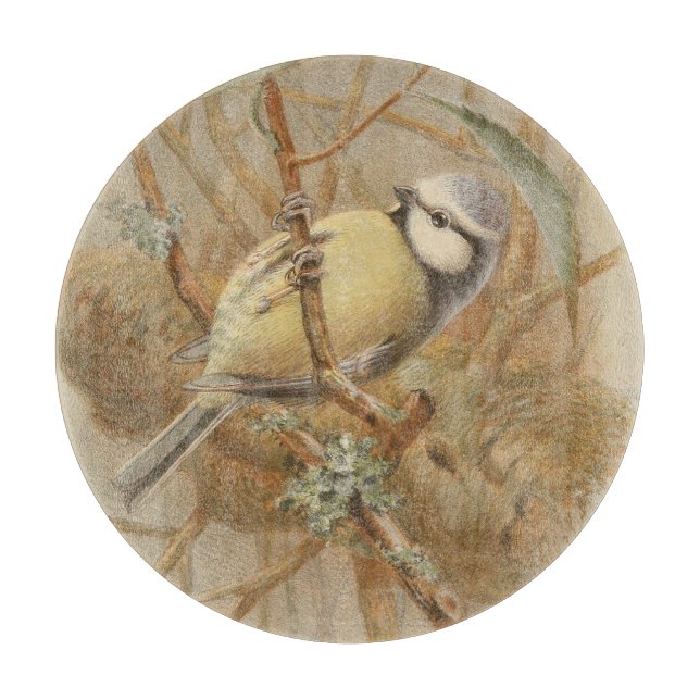 Vintageillustration av blåmes (Framsidan)