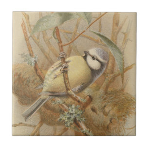 Vintageillustration av blåmes kakelplatta