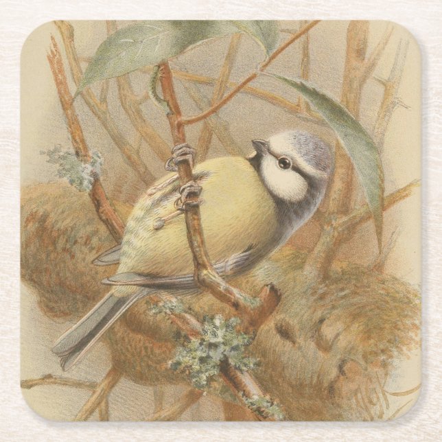 Vintageillustration av blåmes underlägg papper kvadrat (Framsidan)