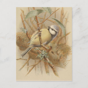 Vintageillustration av blåmes vykort