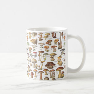 Vintageillustration av champinjoner kaffemugg