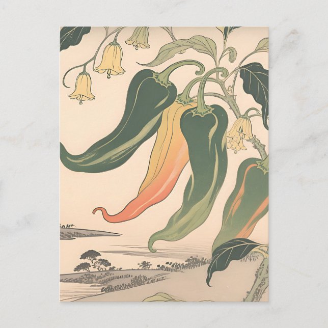 Vintageillustration av chilipeppar vykort (Framsida)