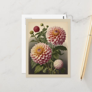 Vintageillustration av en Dahlia Vykort