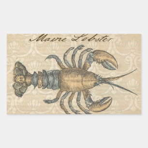 Vintageillustration av hummer: Coastal Damask Rektangulärt Klistermärke